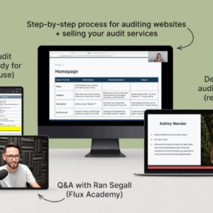 Danbee Shin – Website Audit Masterclass Download