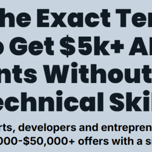 The AI Audit – The Exact Template I Use To Get k+ AI Audit Clients Without Any Technical Skills Download