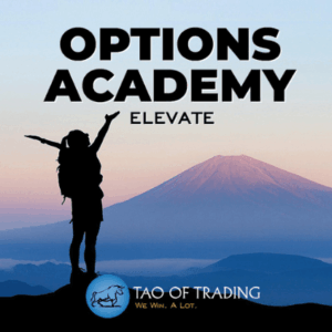 Simon Ree – Options Academy Elevate Download