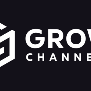 Razvan Paraschiv – Grow Channels Accelerator Download