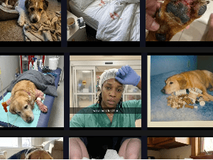 Satish Prajapati – Native Ads